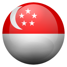 SA Flag